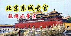 鸡吧操逼的视免费看中国北京-东城古宫旅游风景区